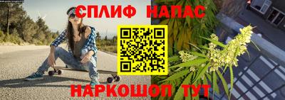 эйфоретик Дубна