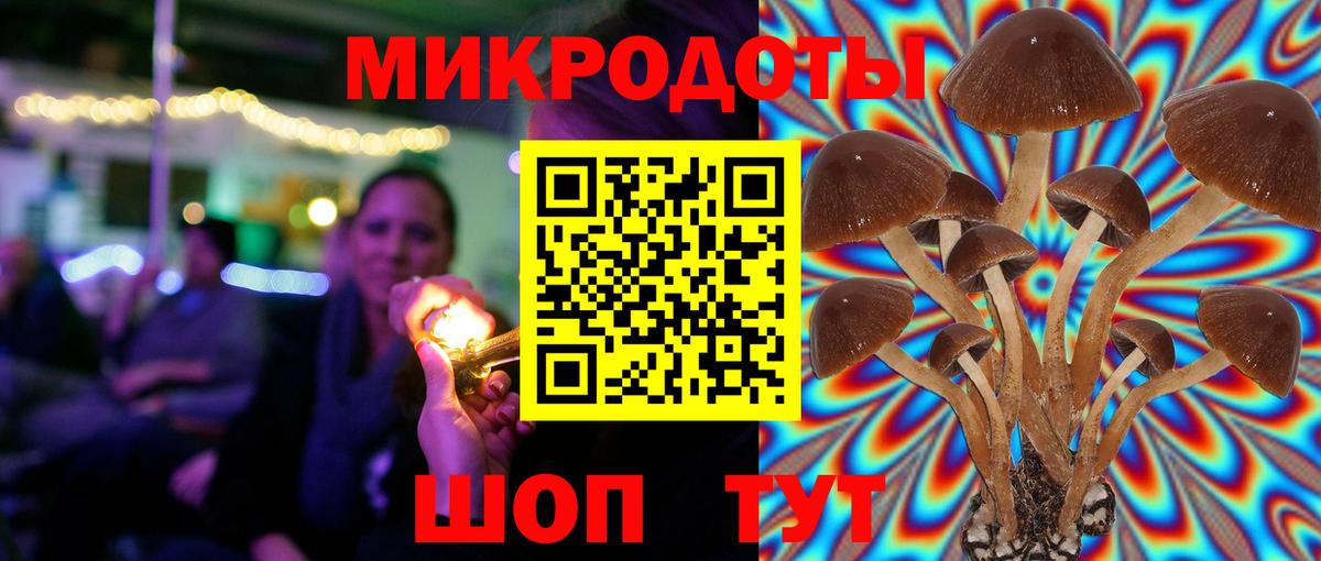 Псилоцибиновые грибы мицелий Красноярск