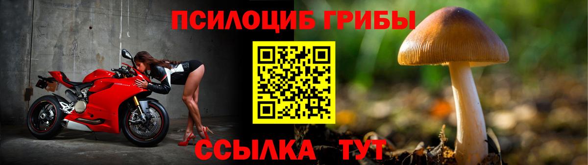 Псилоцибиновые грибы Cubensis  Вход с VPN  Псилоцибиновые грибы мухоморы  Красноярск 